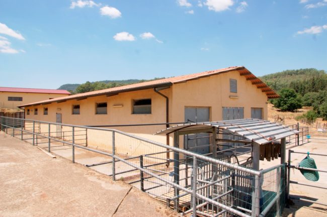Imprenditore agricolo permise latitanza di un mafioso: confiscati beni per 10 milioni di euro