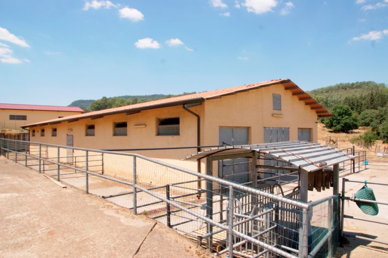 Imprenditore agricolo permise latitanza di un mafioso: confiscati beni per 10 milioni di euro