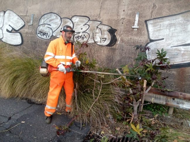 Catania e decoro urbano: ripuliti gli svincoli della circonvallazione con il viale Mediterraneo