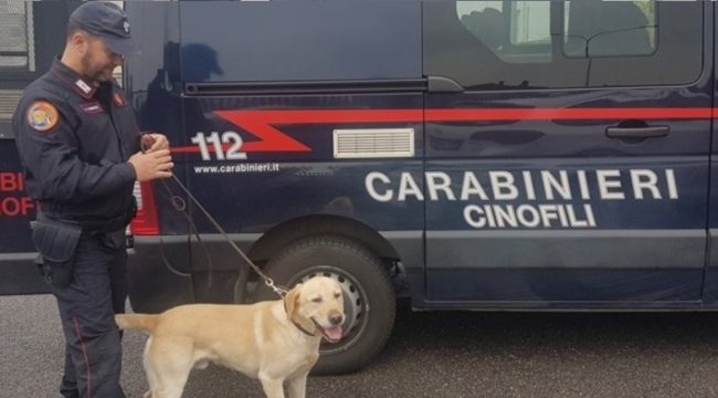 Lotta alla droga. Controlli dei carabinieri con unità cinofile: arrestato un uomo