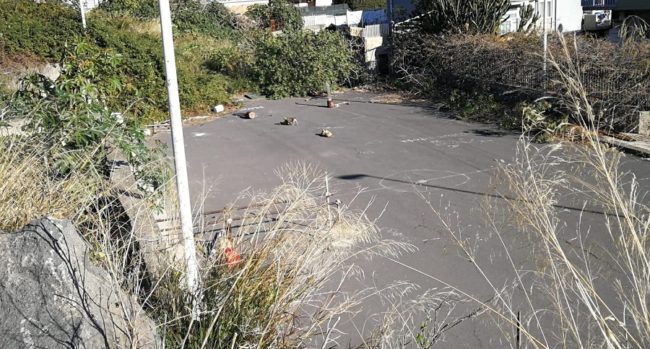 Catania, piazza abbandonata in via Partigiani d’Italia: Terranostra “area in buone condizioni, riqualifichiamola”