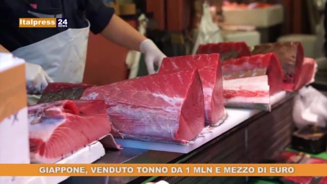 Giappone, un tonno da 1,5 mln di euro