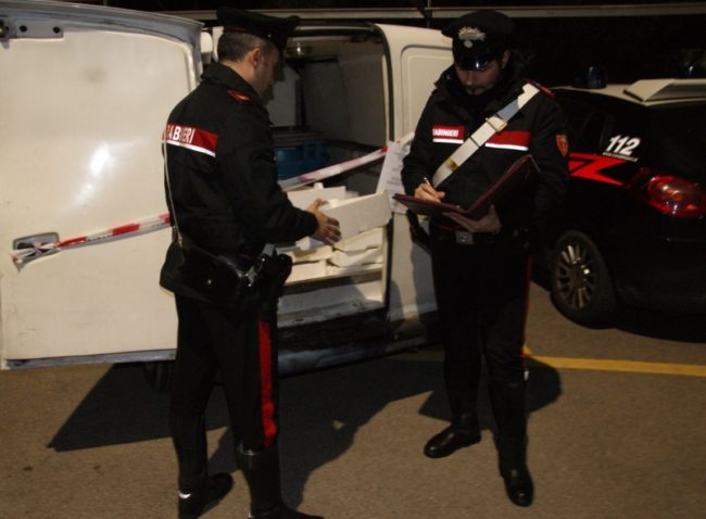 Sequestrati 425 chili di prodotti ittici: novellame non tracciabile devoluto in beneficenza
