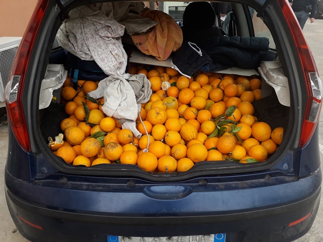 Succede a Siracusa e provincia: 14 febbraio MATTINA