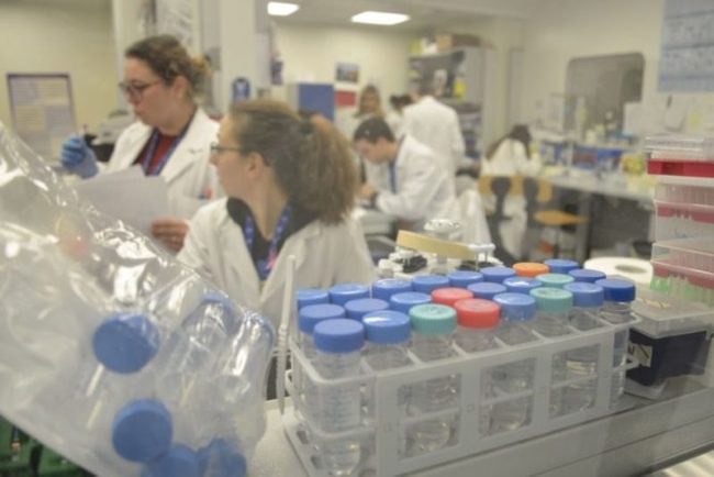 Coronavirus, Spallanzani: “Si aggravano coniugi cinesi”