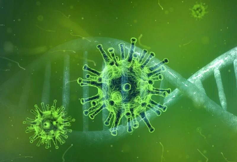 Coronavirus, 4 muratori in isolamento volontario a Mussomeli: sono tornati dal Veneto