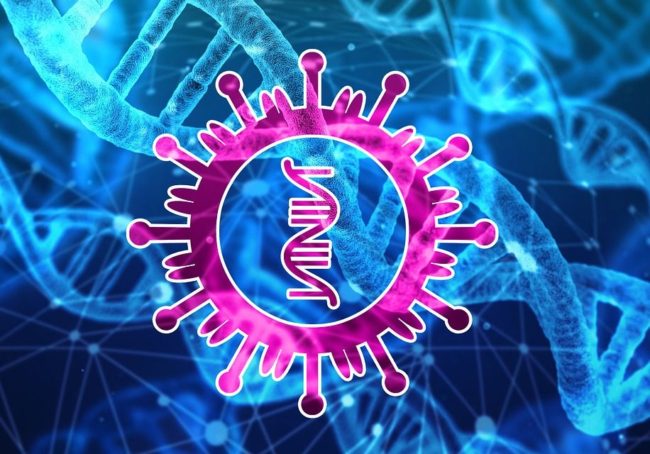 Coronavirus, due casi anche nel Padovano. Zaia: “Misure rigorose”