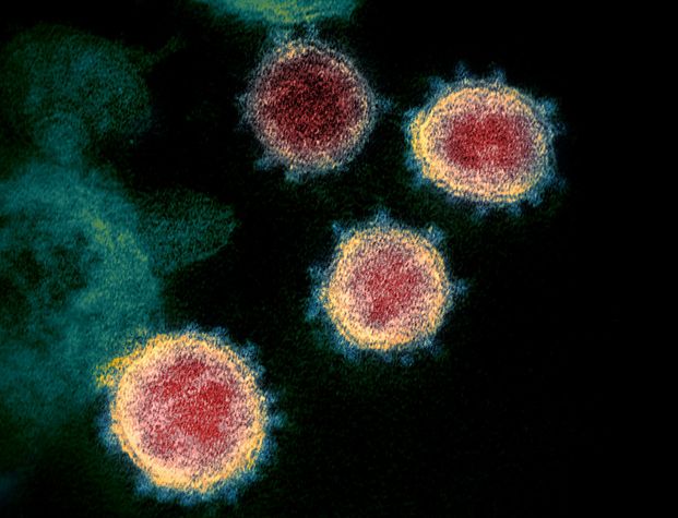 E' morta la 76enne positiva al coronavirus a Treviso, 11 le vittime