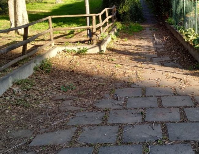 Area Verde parco Aldo Moro di Catania come una giungla: FOTO e segnalazione del Comitato Cittadino Vulcania