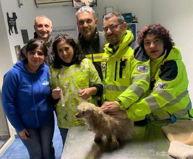 Candela accesa in salotto, scoppia incendio: morti tre animali, salvati 2 cani