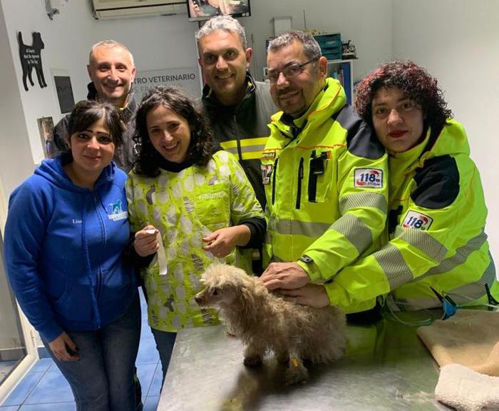 Candela accesa in salotto, scoppia incendio: morti tre animali, salvati 2 cani