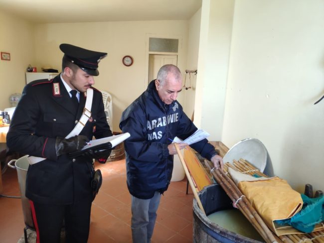 Sequestrati caseificio abusivo e 200 chili di alimenti in cattivo stato: titolare denunciata