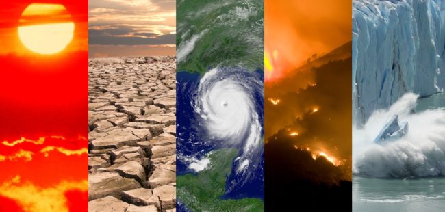 Australia in fiamme, Antartide senza neve, invasioni di locuste e plastica in mare: scenari terrificanti nella Giornata della natura 2020