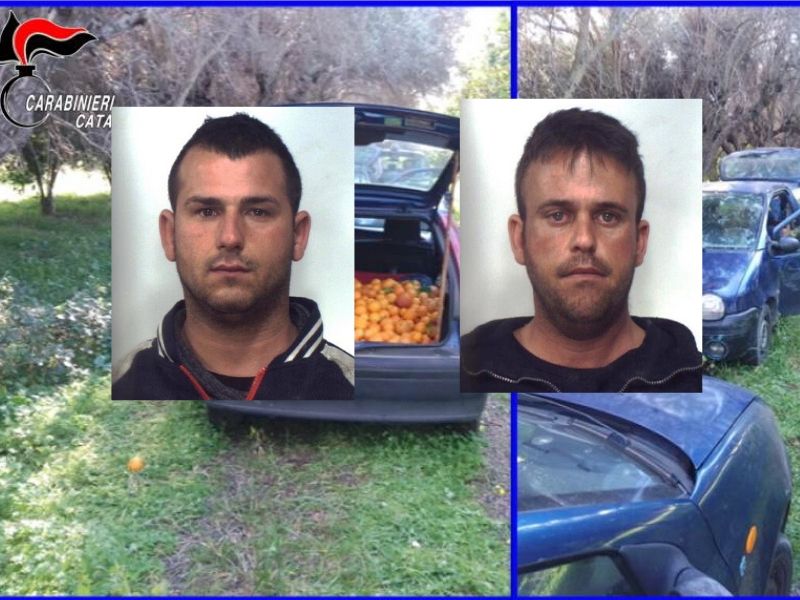 Sorpresi a rubare in un agrumeto del Catanese: in manette due fratelli
