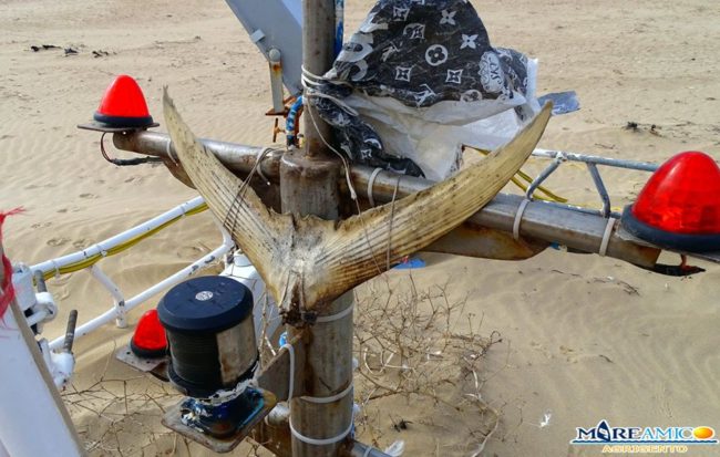 Resti di nave sulla spiaggia della riserva naturale: area sequestrata, risolto il mistero