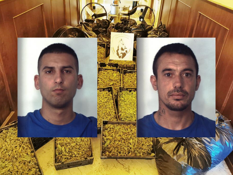 Curavano piantagione di marijuana nelle campagne del Catanese: due arresti