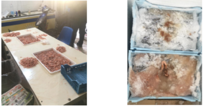 Acireale, prodotti ittici trattati con additivi: scoperti 5 soggetti, 4 percepivano il Reddito di Cittadinanza