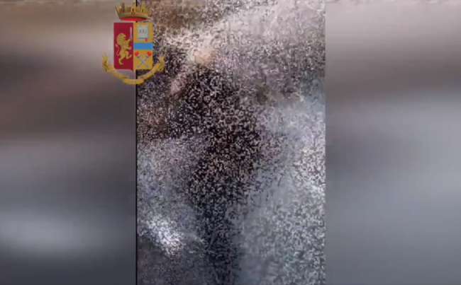 “Se mi denunci te ne vai da Catania”, picchiano e filmano coetanee all’uscita da scuola: segnalate due adolescenti – VIDEO