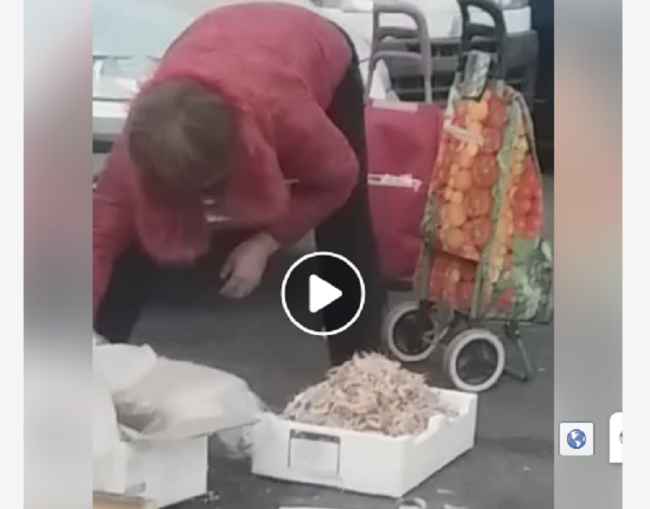 Video virale sul web, “cinesi raccolgono pesce da terra e lo portano nei ristoranti di Catania”: dubbi e mancanza di prove