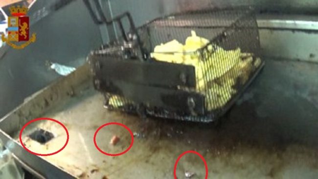 Stazione “illegale” a Catania, controlli su persone e attività: multe per oltre 4mila euro – FOTO