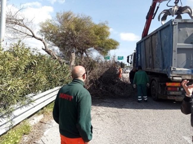 Asse dei servizi di Catania, i risultati del lavoro di scerbamento: eliminate erbacce che invadevano carreggiata