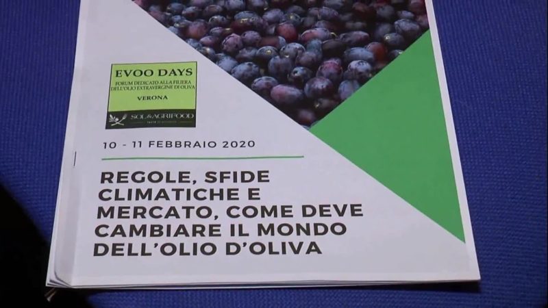 L’olio d’oliva protagonista a Verona