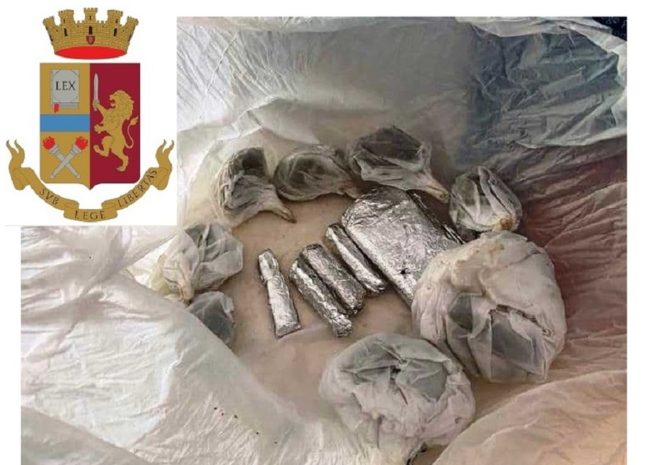 Marijuana e hashish nascosti in vasi e barattoli, “Ulla” fiuta stupefacenti in via Palermo: nei guai 24enne