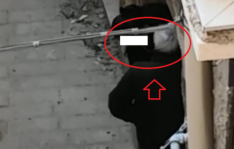 “Coccole” si trasformano in masturbazione in strada: una giovane e un anziano filmati in pieno giorno da un balcone