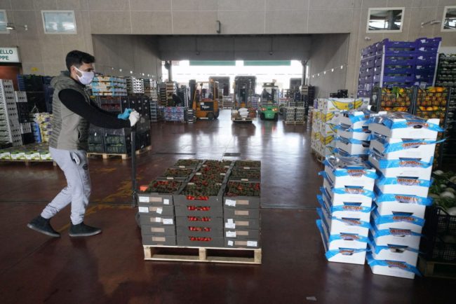 Coronavirus, dall'Ismea agevolazioni per le imprese agroalimentari