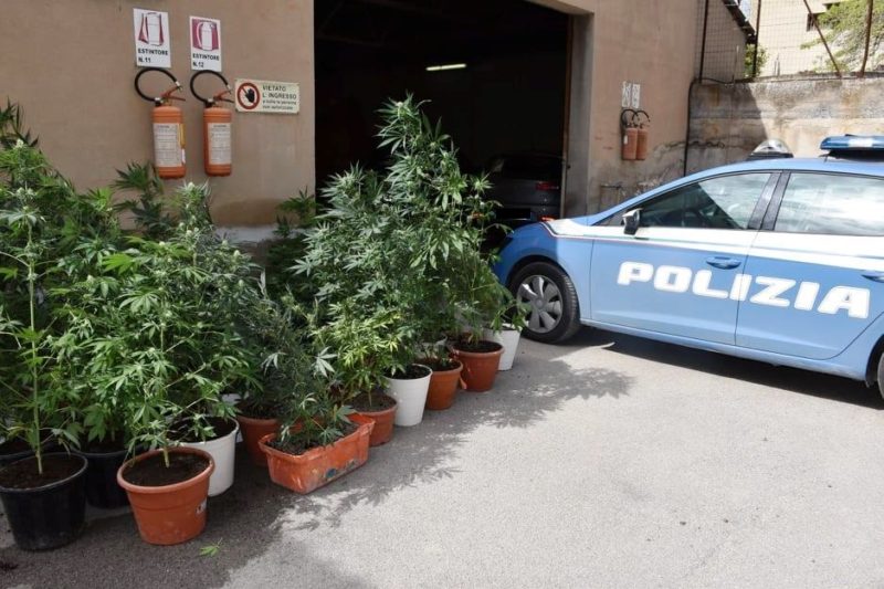 Scoperta coltivazione indoor di marijuana in un garage: arrestato 36enne