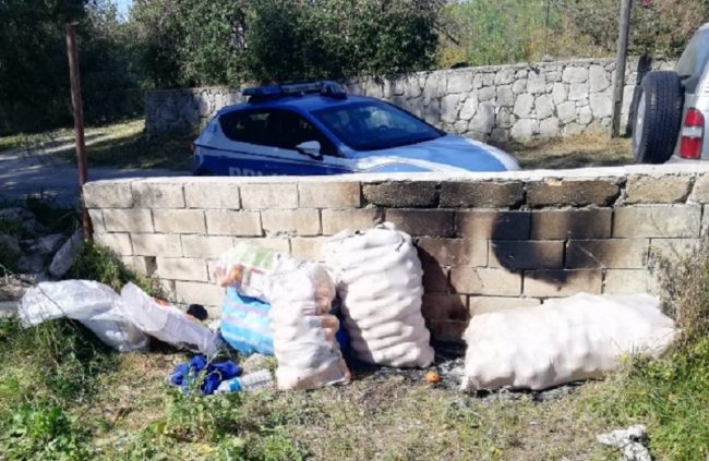 Continuano i furti di agrumi, tre uomini denunciati: bloccati con circa 500 chili di arance