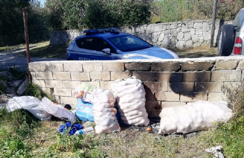 Continuano i furti di agrumi, tre uomini denunciati: bloccati con circa 500 chili di arance