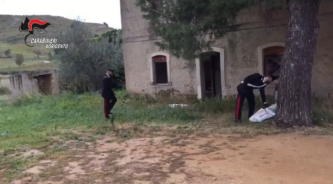 “Cavallo di ritorno” ai danni di un’anziana: arrestato 54enne