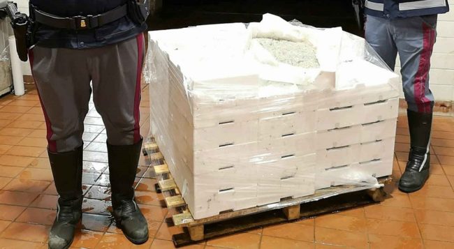 Cibo “illegale” per le strade: sequestrato “neonato” di sarda e altri alimenti trasportati in veicoli non autorizzati