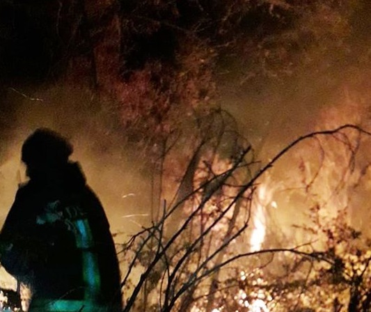 Linguaglossa, rogo nella zona di Monte Crisimo: 5 ettari di bosco in fumo