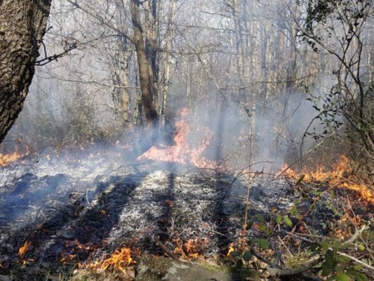 Due incendi in meno di 24 ore nel Catanese, colpite aree boschive e sterpaglie: interventi dei vigili del fuoco