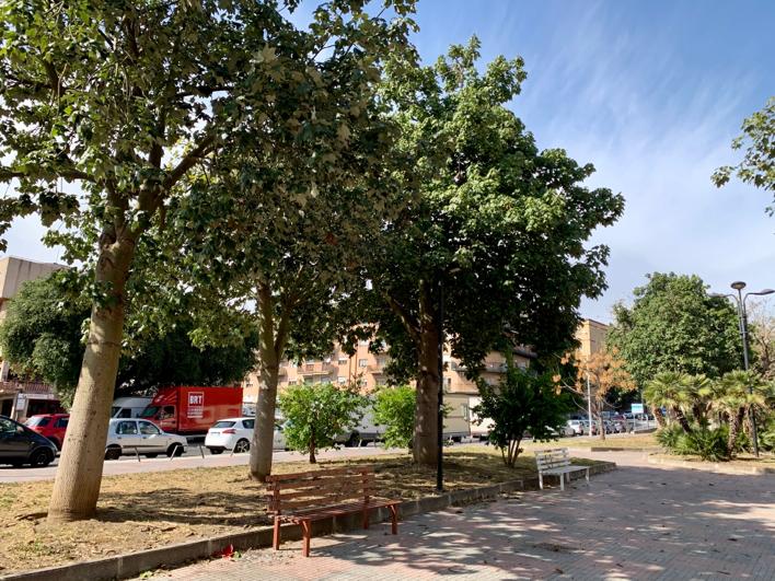 Piazza Croce Rossa Italiana: “Stiamo operando per migliorare il volto di Catania” – FOTO