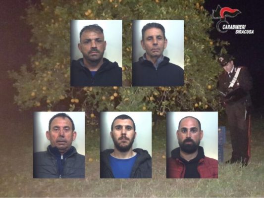 Vìolano il Decreto per andare a rubare arance: arrestati 5 catanesi in trasferta