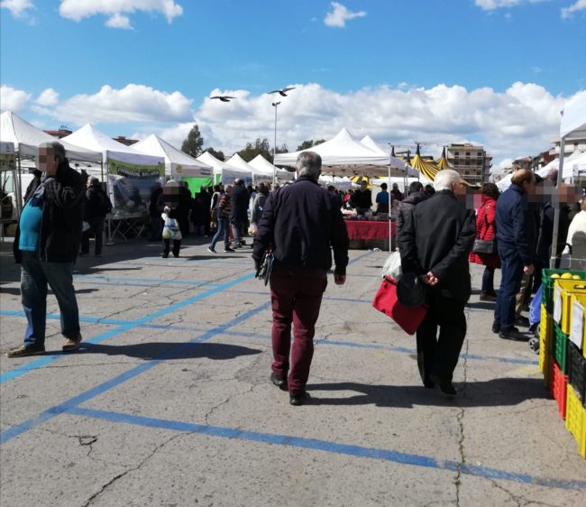 Coronavirus, Catania resta città aperta nonostante i timori: “La gente ha paura, ma al mercatino non rinuncia” – FOTO