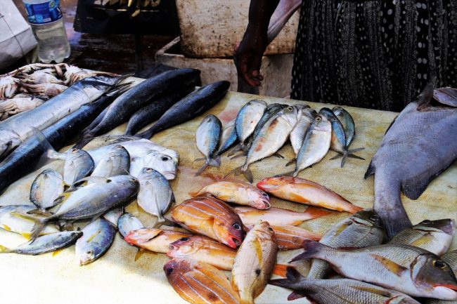Ognina, gastronomia ancora aperta: scatta la chiusura per 7 giorni