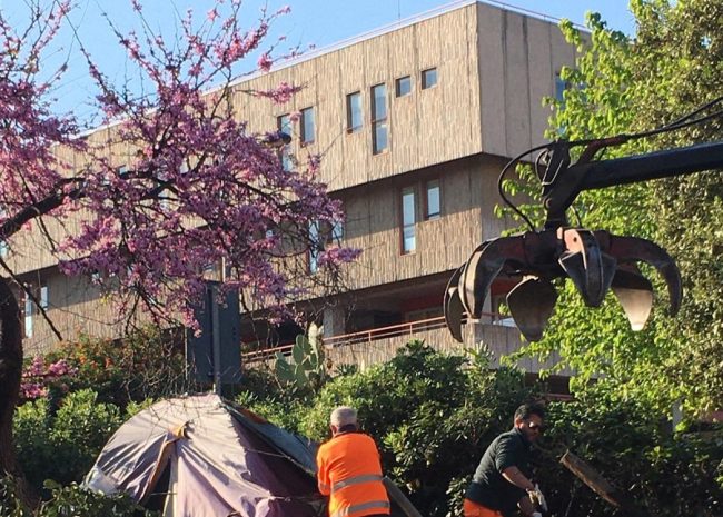 Catania, azioni di bonifica in piazza Aldo Moro. Ferrara: “Cerchiamo normalità per il territorio”