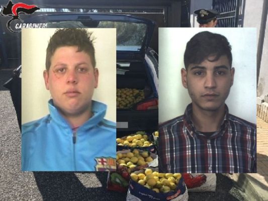 Violano il decreto anti Covid-19 per rubare, portati via 8 quintali di limoni: due arresti