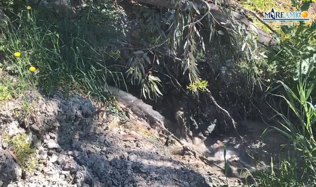 Sversamento di liquami, la denuncia di Mareamico: “Dovrebbe occuparsene l’ente” – VIDEO