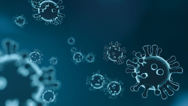 Uno studio, immunosoppressione non aumenta rischio covid nei trapiantati