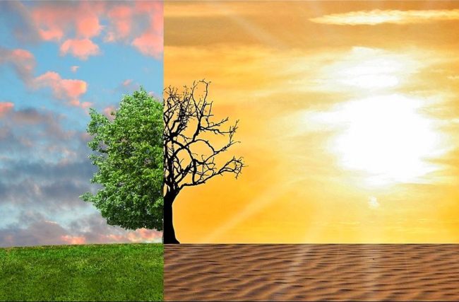 Earth Day, da P&G “Storie di Cittadinanza d'Impresa 2019”