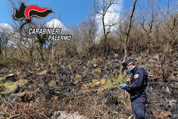 Vasto incendio distrugge area boschiva: denunciati proprietaria-committente e due esecutori – VIDEO