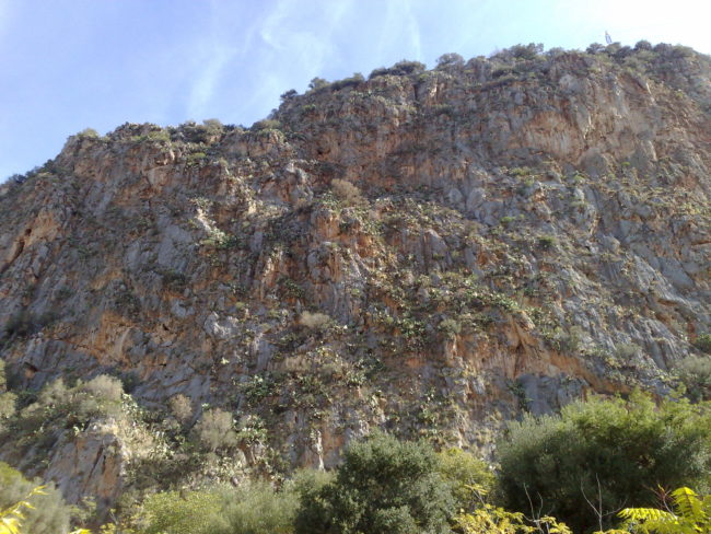 Ferragosto “blindato”, divieto di stazionamento al Parco della Favorita e monte Pellegrino: firmata l’ordinanza