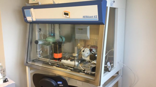 Catania, anti-Covid Lab: l’Istituto superiore di Sanità dispone il via libera ai test sulle mascherine