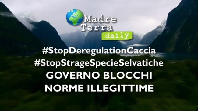 Caccia, Pecoraro Scanio: “Fermare regioni che vogliono estendere stagione”