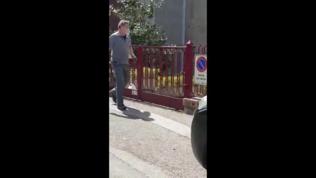 Capriolo si incastra in un cancello, ecco come finisce